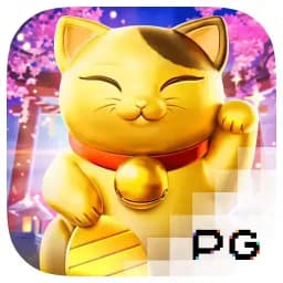 studybong: Lucky Neko
