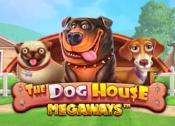 studybong: The Dog House Megaways
